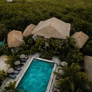 Radhoo (adults Only) 4*, Tulum México